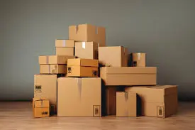 Moving Guru Team